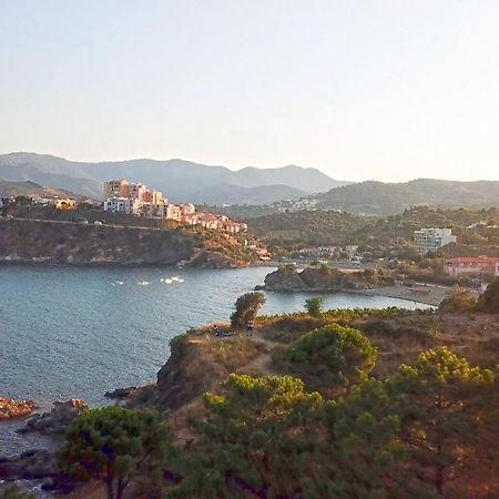 Appartement Lumineux Entre Plage Et Montagne Banyuls-sur-Mer Bagian luar foto