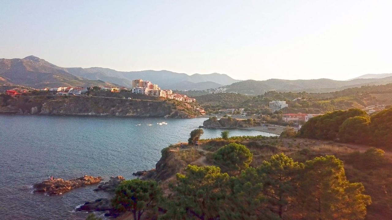 Appartement Lumineux Entre Plage Et Montagne Banyuls-sur-Mer Bagian luar foto