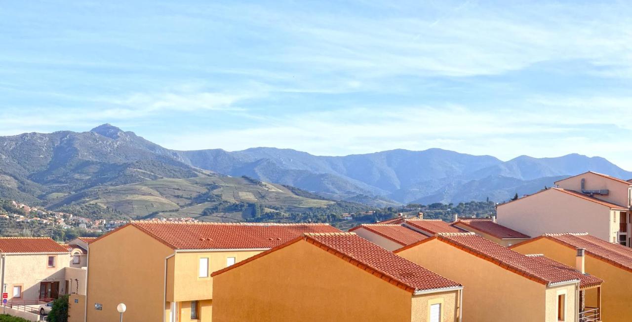 Appartement Lumineux Entre Plage Et Montagne Banyuls-sur-Mer Bagian luar foto