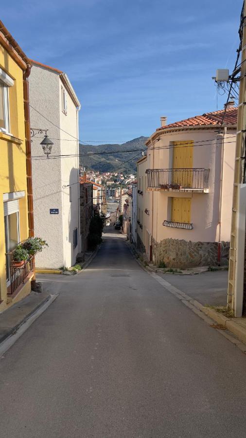 Appartement Lumineux Entre Plage Et Montagne Banyuls-sur-Mer Bagian luar foto